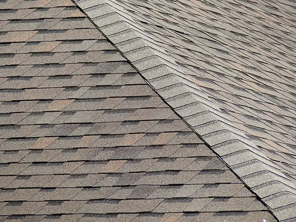 Neutral composition shingles on a roof.